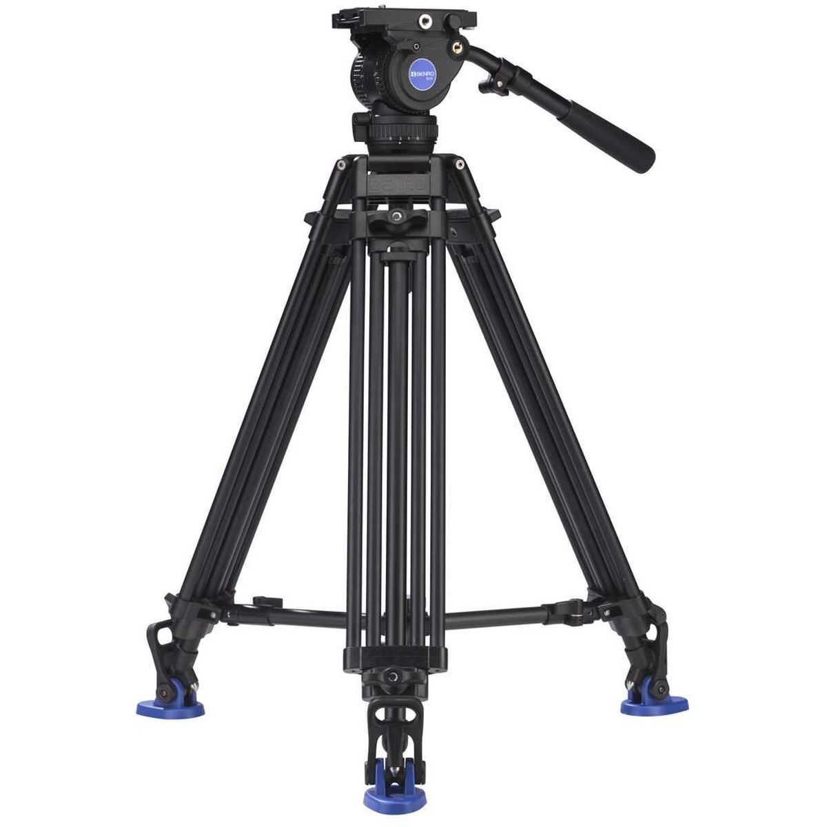 BV8_01.jpg