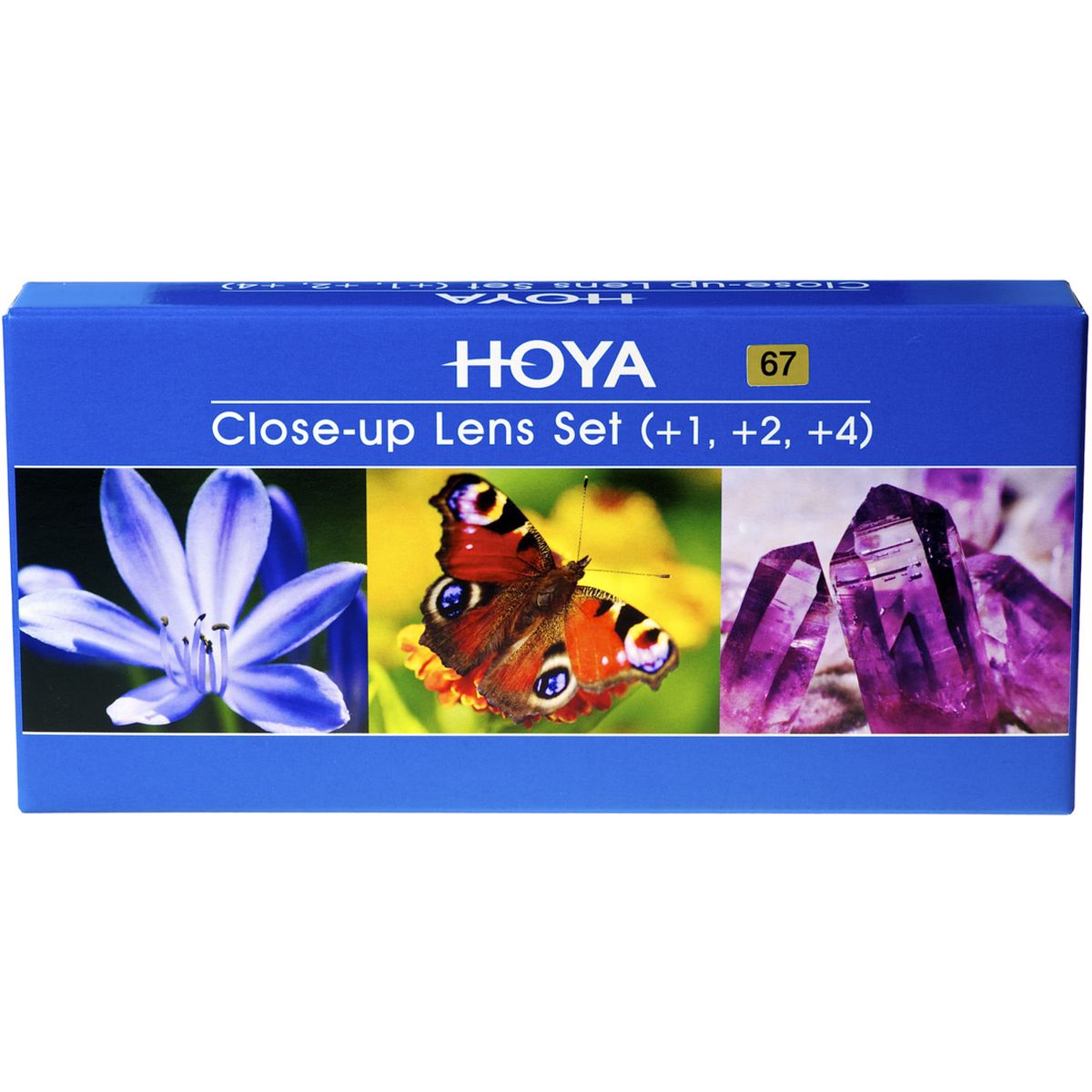 HO-CUSH62II_01.jpg