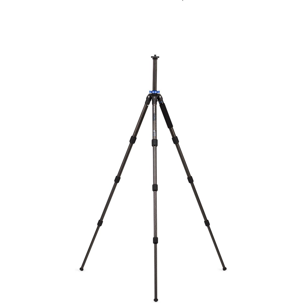TMA28C_04.jpg
