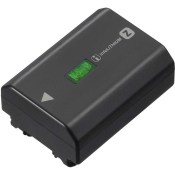 NPFZ100.CE_01-1