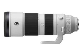sel200600g.syx_2.jpg