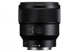 sel85f18.syx_3.jpg