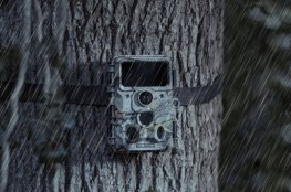 wildcameraez60wifi_4.jpg